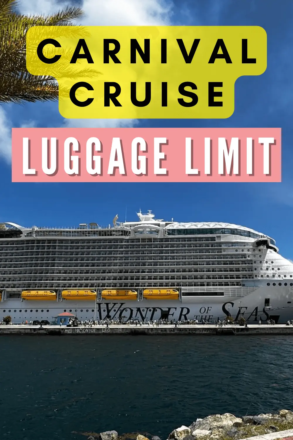 cruise luggage limits