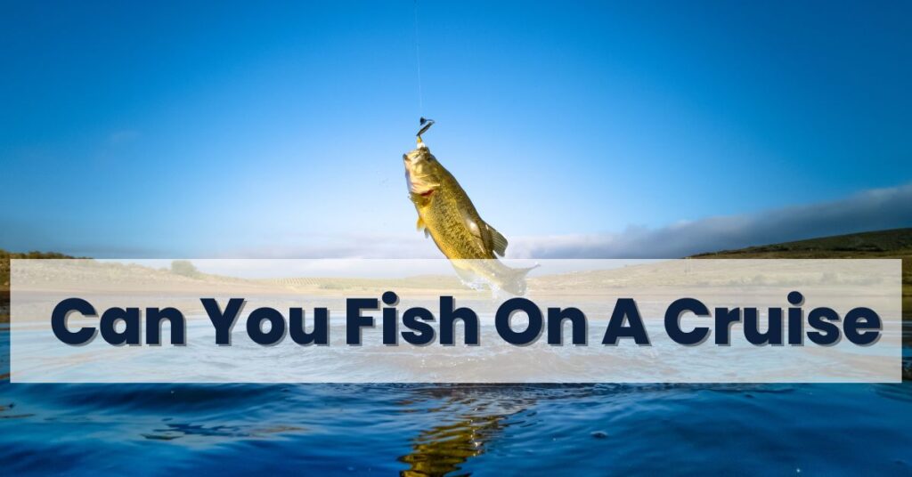 Can You Fish On A Cruise in 2024? Fishing Opportunities!