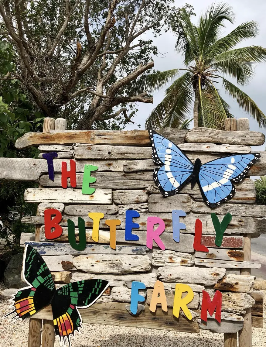 Butterfly Farm 