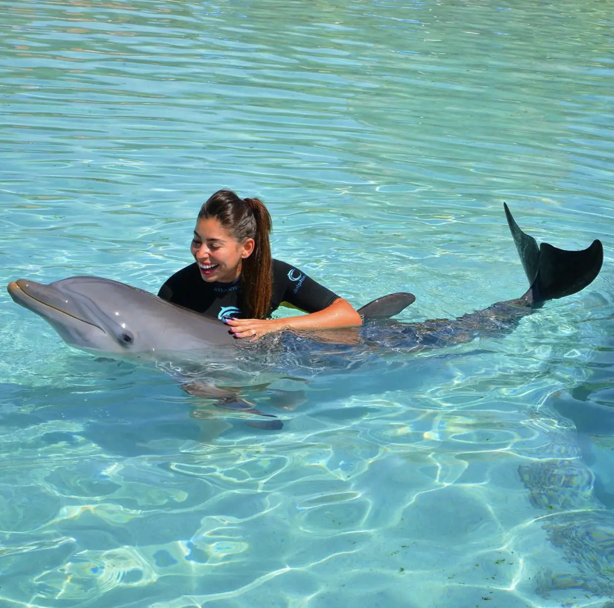 Play With Dolphins 