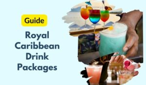 royal caribbean drinks packages guide