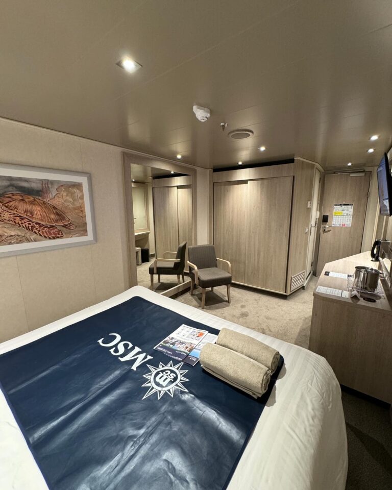 cruise cabin hacks