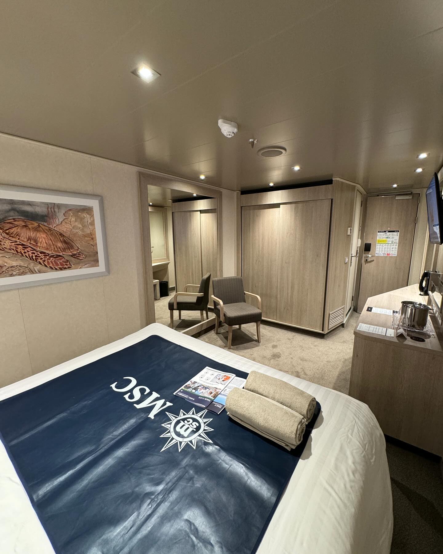 cruise cabin hacks